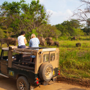 15 days Hidden Visual Lanka explore tour !